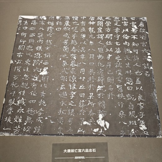 B站精品课熊伟零基础书法入门课封面