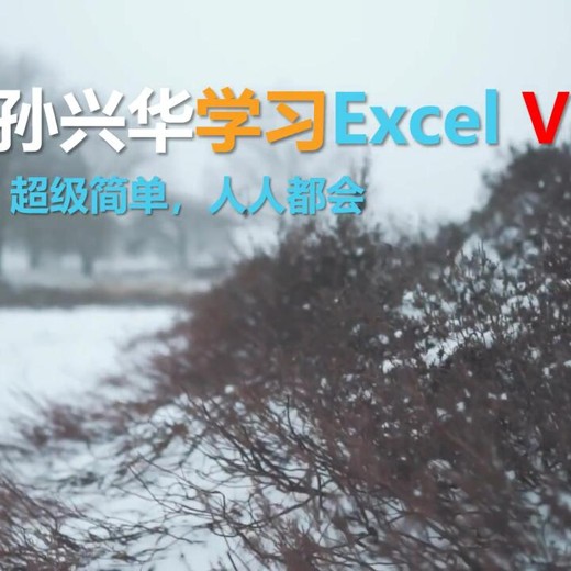 B站李兴华第一季ExcelVBA常用代码 B站李兴华第一季ExcelVBA常用代码封面