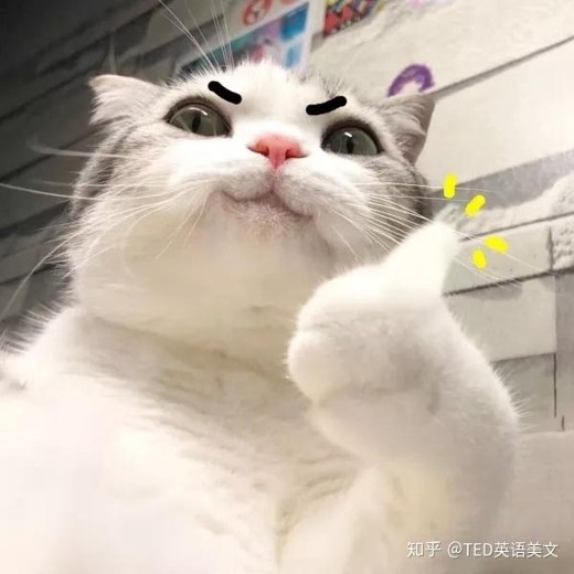 BBC&CNN&VOA短听力精华300篇封面