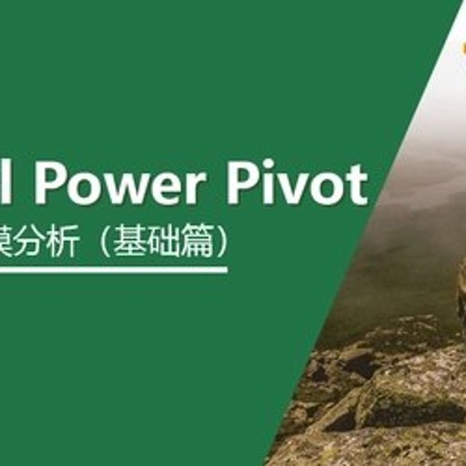 Excel教程赵文超-ExcelPowerPivot建模分析(基础篇) Excel教程赵文超-ExcelPowerPivot建模分析(基础篇)封面