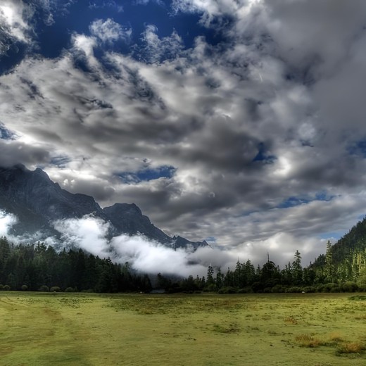 鸿蒙HarmonyOSNEXT星河版入门到实战封面