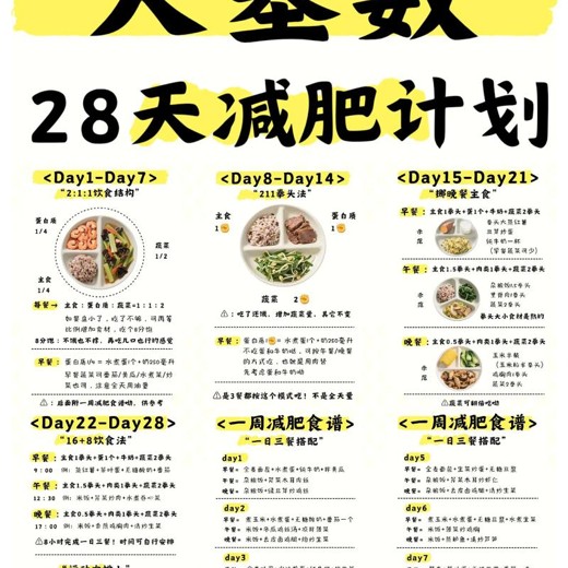 Jo·28天大基数暴汗燃脂封面