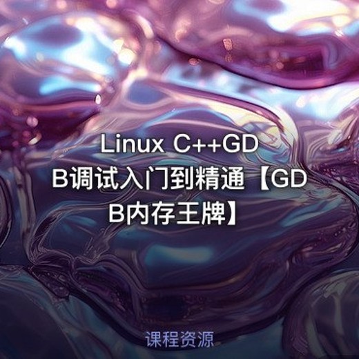 孙海洋LinuxC++GDB调试入门到精通GDB内存王牌封面