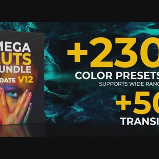 LutsMegaLUTsBundle38169374 LutsMegaLUTsBundle38169374封面