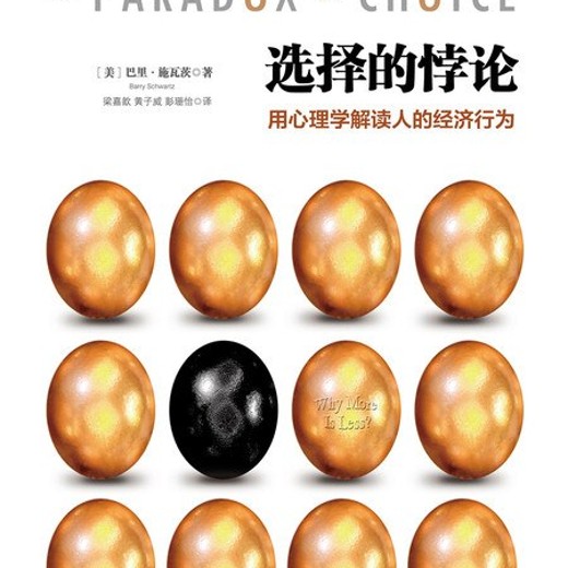 王崇巍·选择的悖论精读班pdf+mp3封面