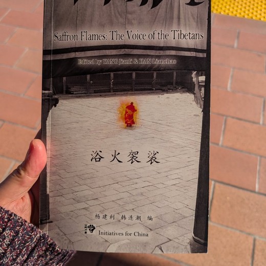 Python数据科学-技术详解与商业实践（八大案例，配套书籍）-带源码课件封面