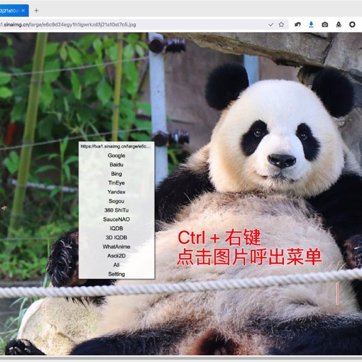 零基础Python爬虫48小时速成课 零基础Python爬虫48小时速成课封面