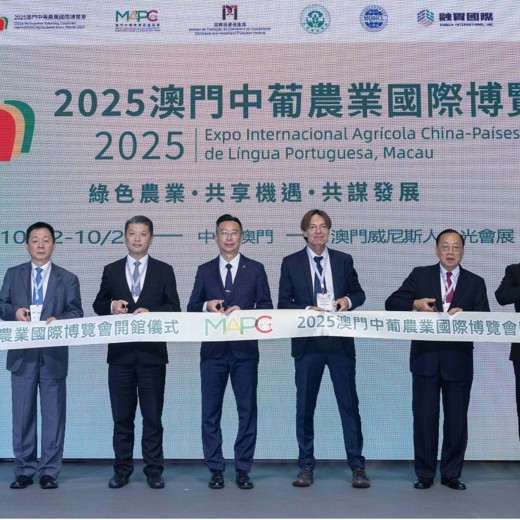 全球变局：经济新格局下的长期主义透视百年未有之大变局的底层逻辑，把握中国经济持续增长的坚韧定力封面
