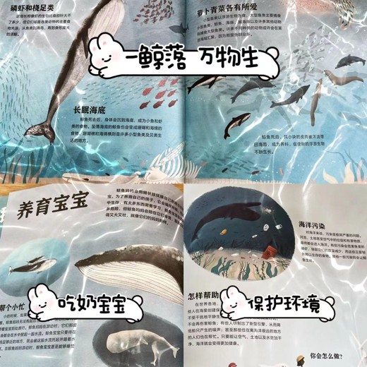 少年得到带着唐诗去旅行 少年得到带着唐诗去旅行封面