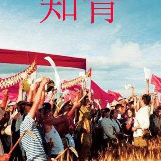 知青专题资料合集 知青专题资料合集封面