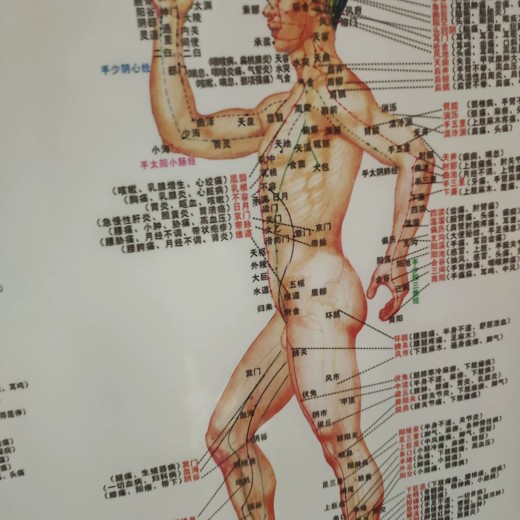 中医高清脉学和经络图封面
