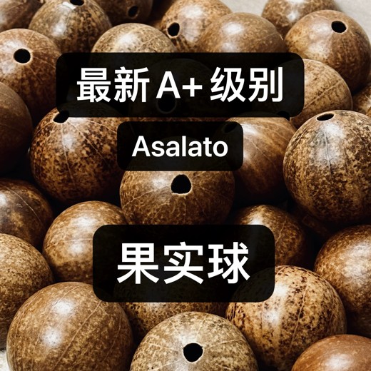 初学入门零基础手碟鼓打击乐器 初学入门零基础手碟鼓打击乐器封面