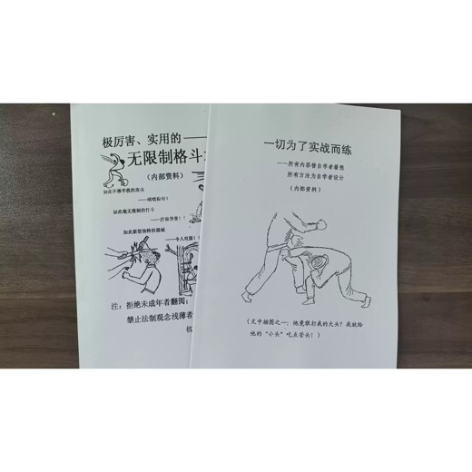 陈鹤皋无限制格斗一切为了实战而练+训练视频封面