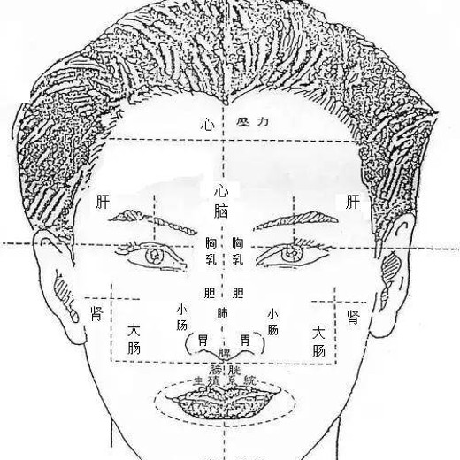 王涛面诊基础望诊色诊眼诊望眉六经面诊自学教程高清 王涛面诊基础望诊色诊眼诊望眉六经面诊自学教程高清封面