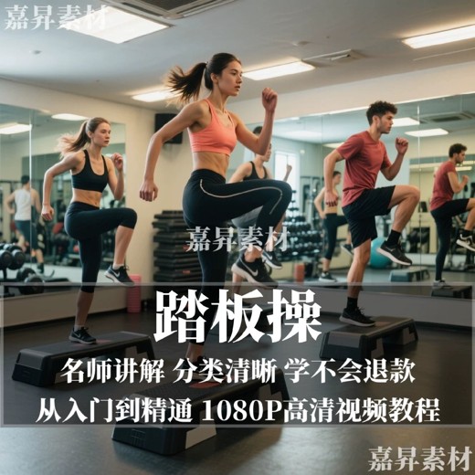 极速瘦身有氧操,高效燃脂居家跟练 极速瘦身有氧操,高效燃脂居家跟练封面