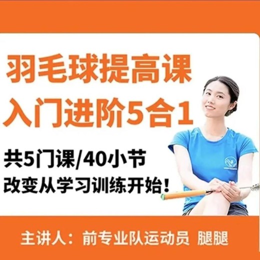 嘉嘉成人羽毛球基础进阶三合一精品课封面