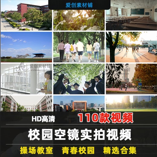 高中语文(同步精品讲义) 高中语文(同步精品讲义)封面