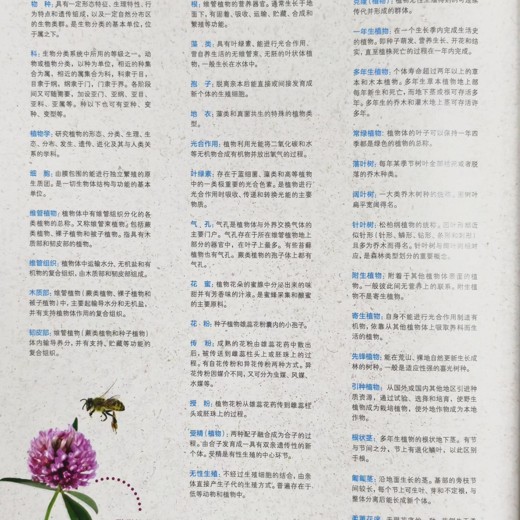 世纪少年儿童百科全书封面