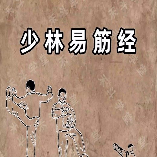 每个家庭都需要的体育教育封面