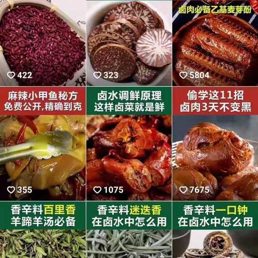 卤味全套（视频+文字）封面