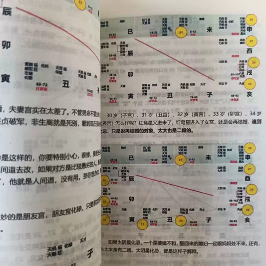 紫微斗数 紫微斗数封面