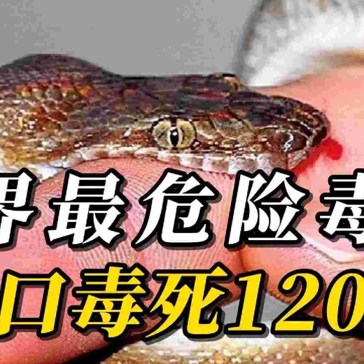 刘海龙教授-传播理论通识课（完结）封面