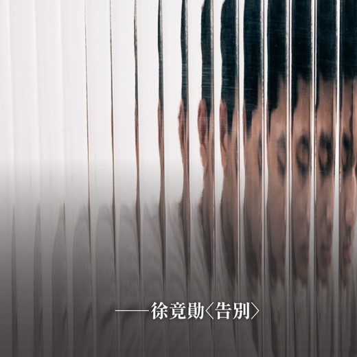 教资上岸必刷题集(卢姨) 教资上岸必刷题集(卢姨)封面