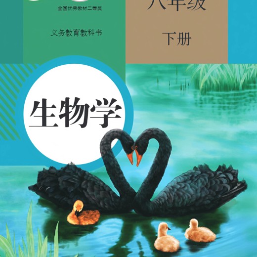 小初高电子版教材封面