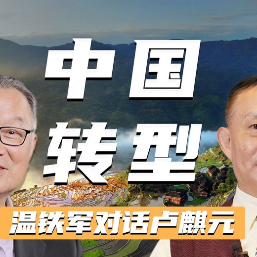 温铁军对谈卢麒元：全球化危机与中国改革之路（完结）封面