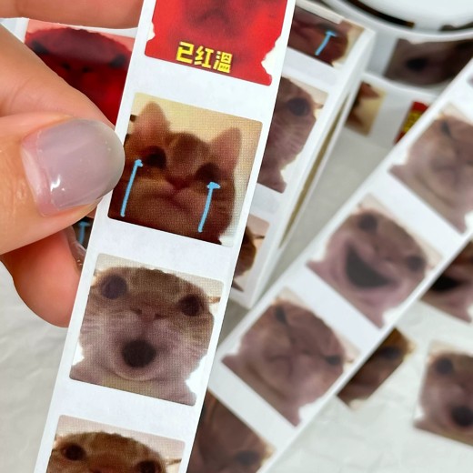 可爱搞笑表情包,猫咪表情聊天斗图,朋友圈,配图静动态图片素材封面