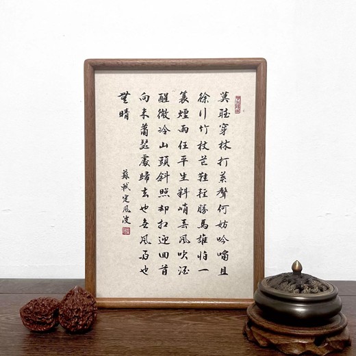 苏东坡说：苏东坡诗文中的故事[历史传记]封面