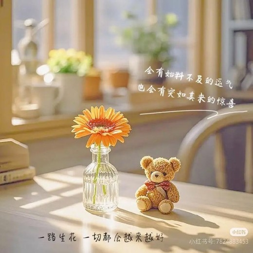 温柔治愈女声愿你被这个世界温柔以待无损音质值得收藏封面