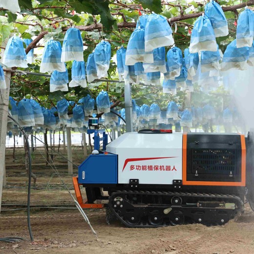 果树种植技术 果树种植技术封面