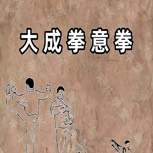 中国武术教程合集封面