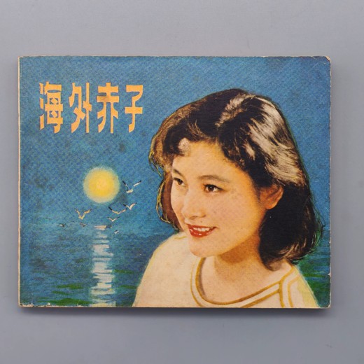 电子书身体的历史全格式封面