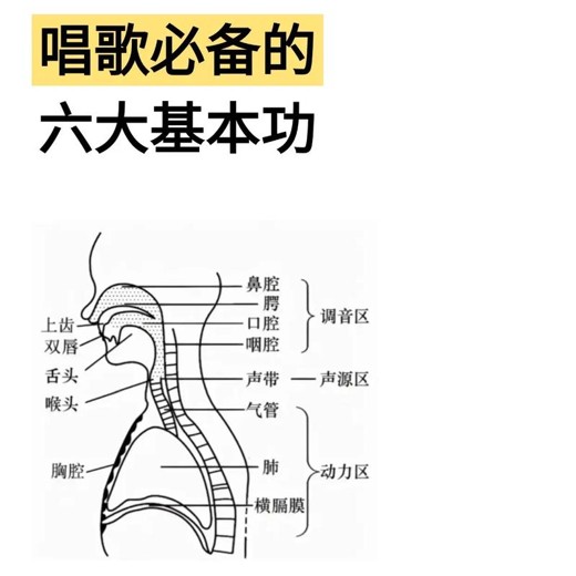 【声乐教程类】封面
