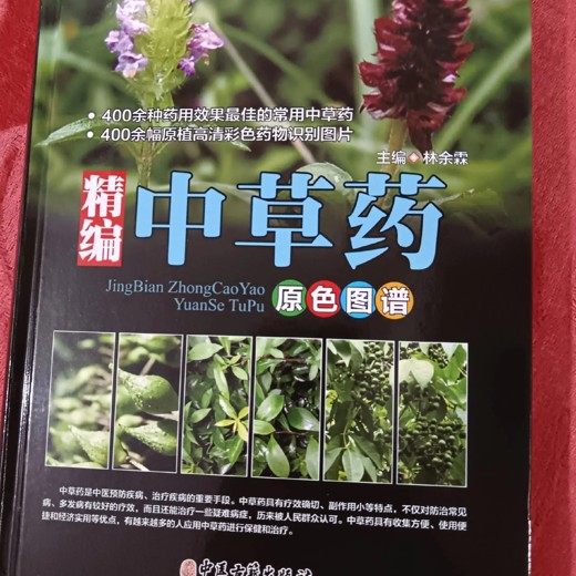 常见病中成药实用速查宝典中医爱好者必备实用版封面