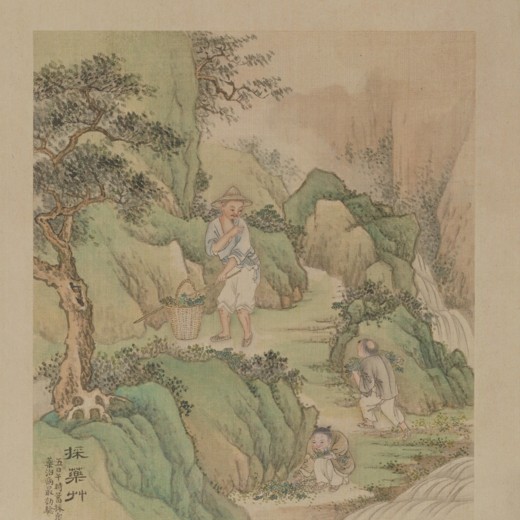 奚松－大树之歌：画说佛传封面