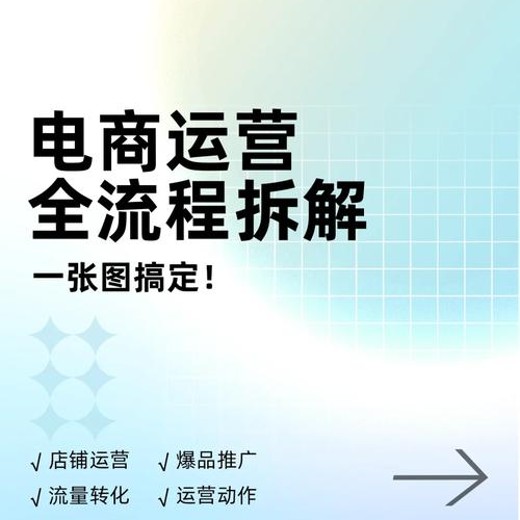 全域时代进阶课，更简单高效的全域投放实操，让电商运营更简单高效封面