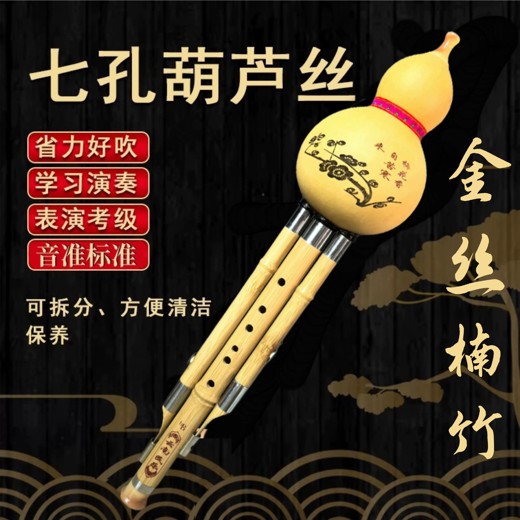 李春华-葫芦丝巴乌全套教程封面
