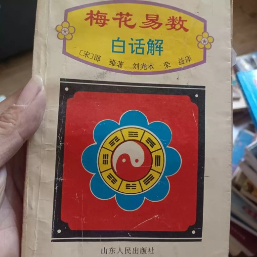 梅花易数封面