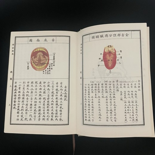 从生活学中医:中医入门一本就会封面