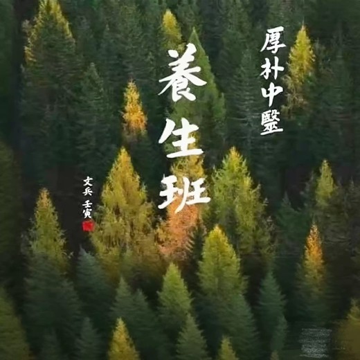 徐文兵超全合集封面
