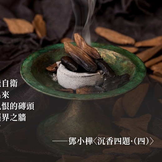 Tracy商业人像修图提高班网络私教视频课封面