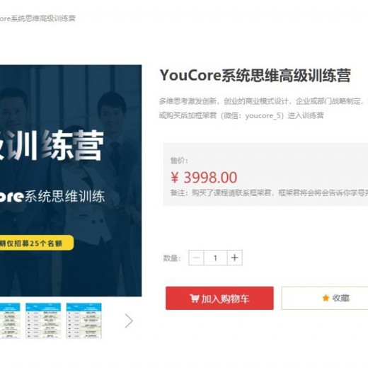 YouCore高级训练营:系统思维训练(已完结) YouCore高级训练营:系统思维训练(已完结)封面