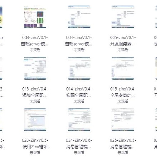 Zinx-Golang轻量级TCP服务器框架-带源码课件封面