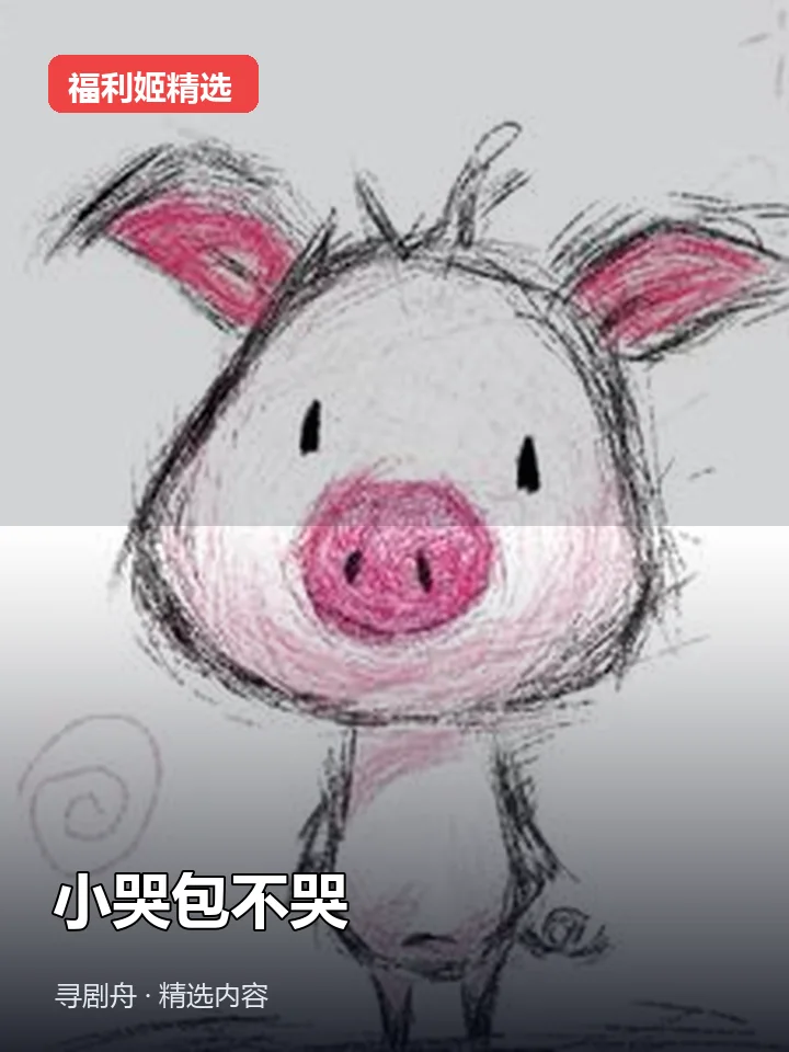 福利姬:小哭包不哭 抖音200万粉女主播(迅雷网盘)封面